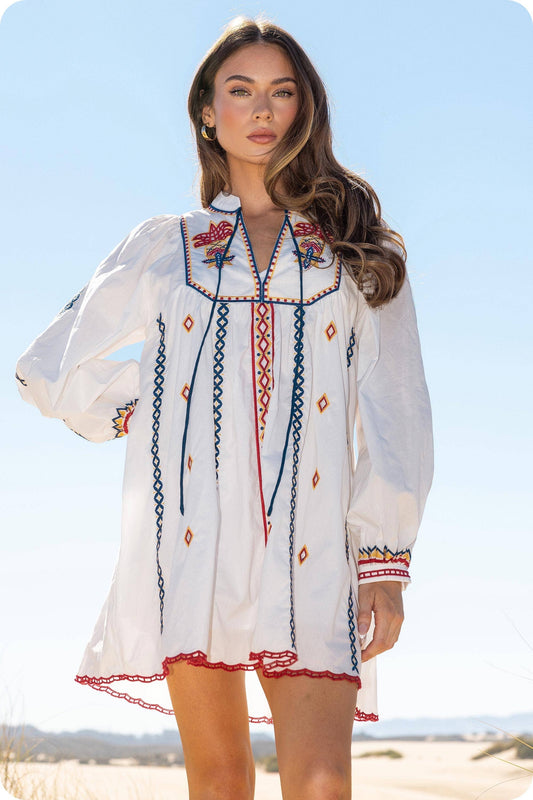 Embroidered Long Sleeve Mini Dress