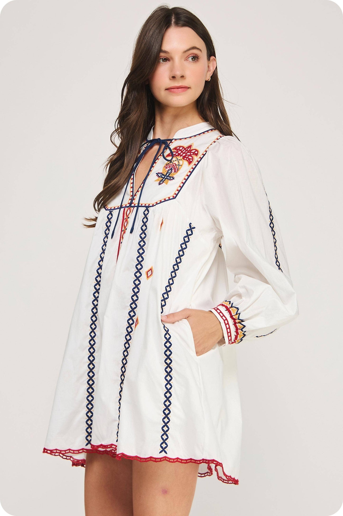 Embroidered Long Sleeve Mini Dress
