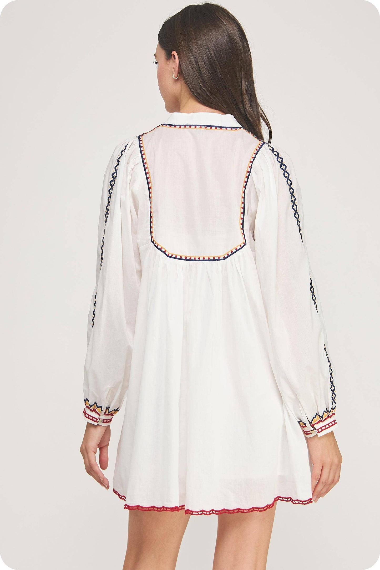 Embroidered Long Sleeve Mini Dress