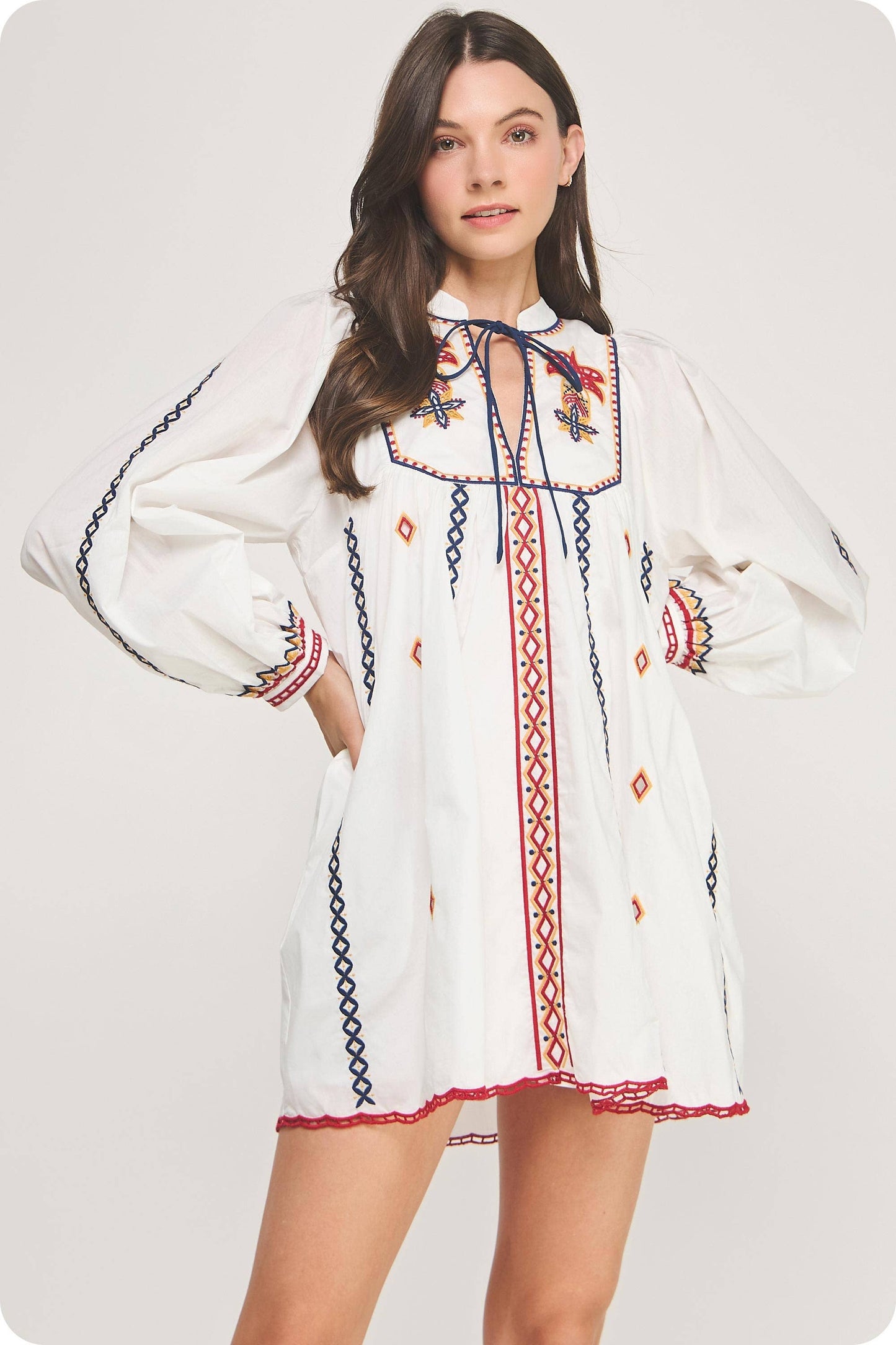 Embroidered Long Sleeve Mini Dress