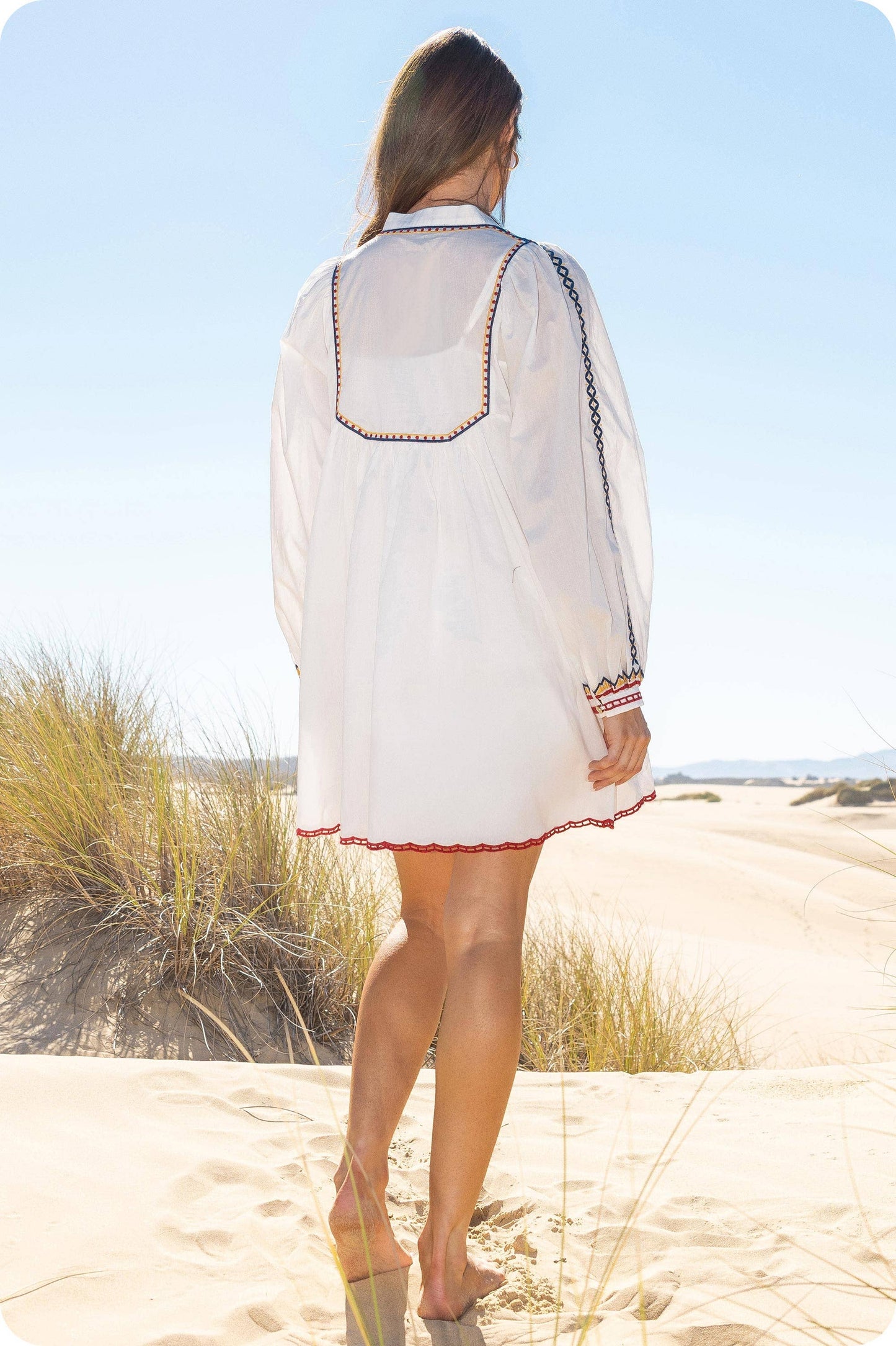 Embroidered Long Sleeve Mini Dress