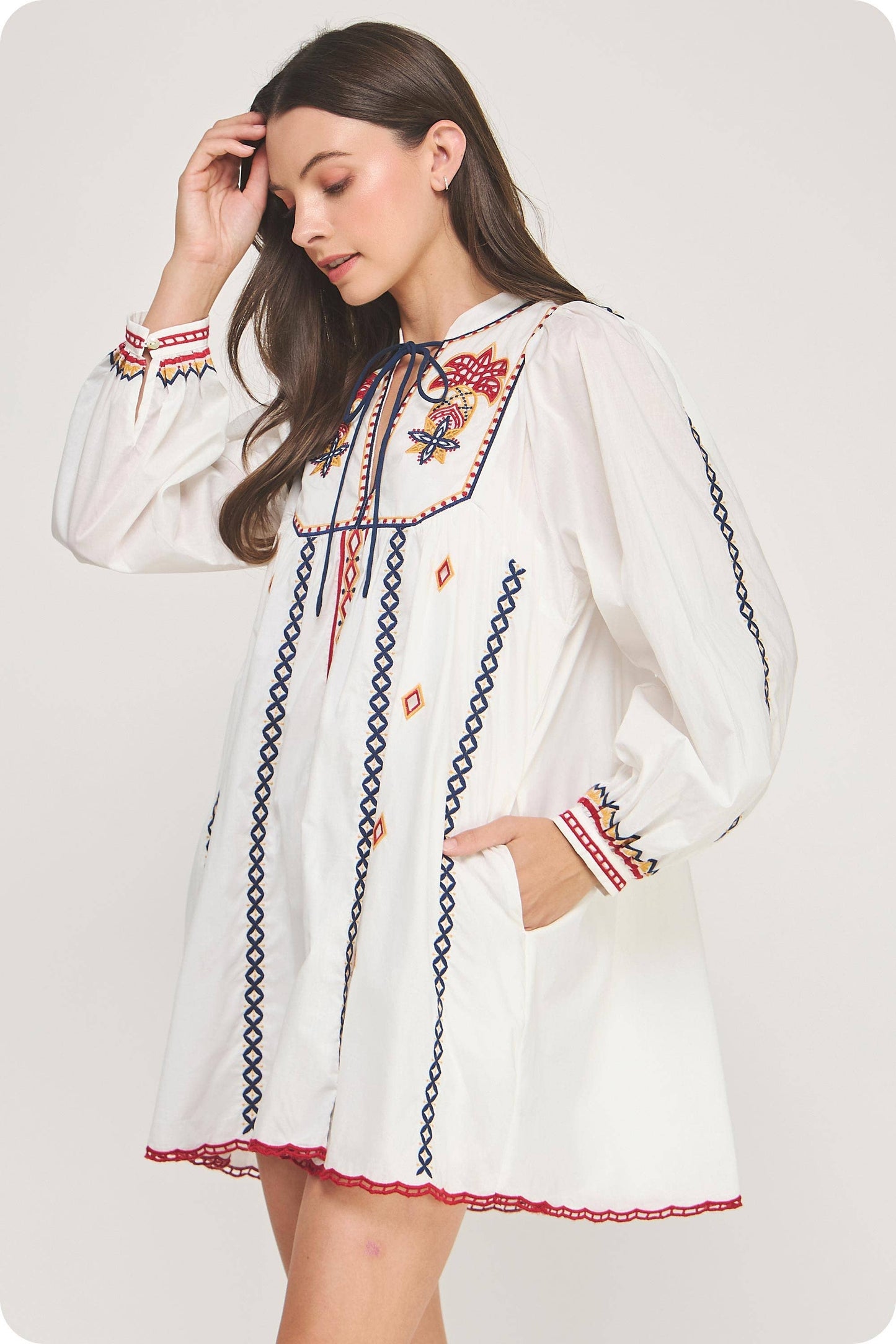 Embroidered Long Sleeve Mini Dress