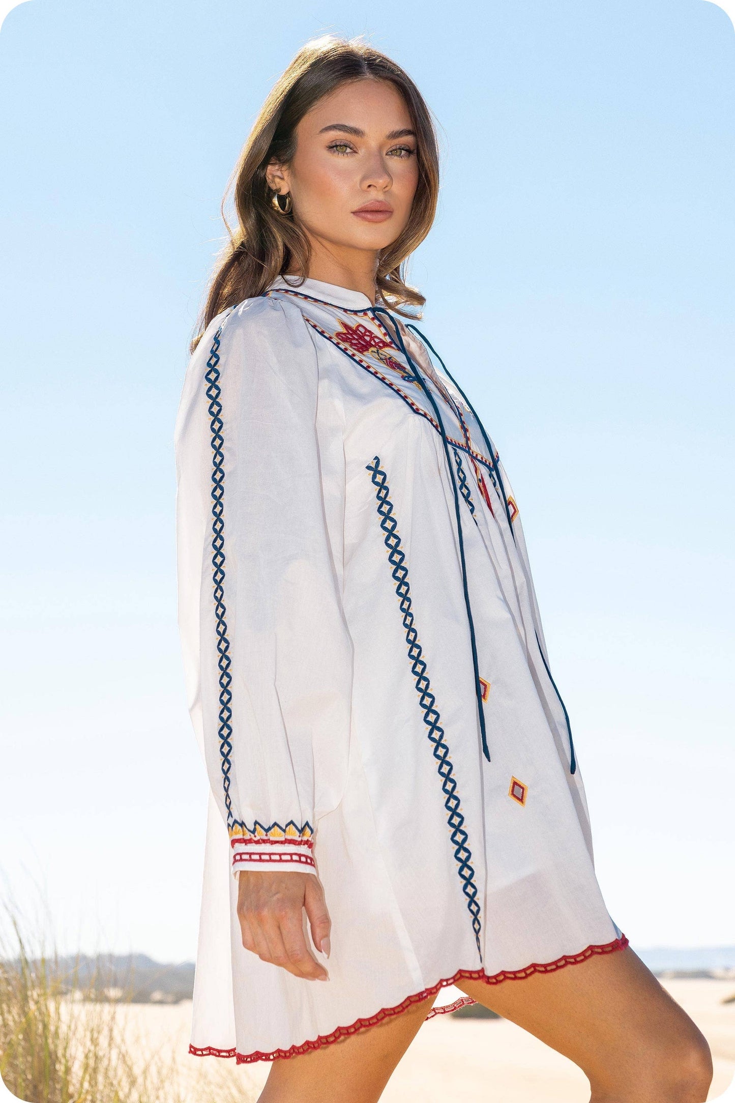 Embroidered Long Sleeve Mini Dress