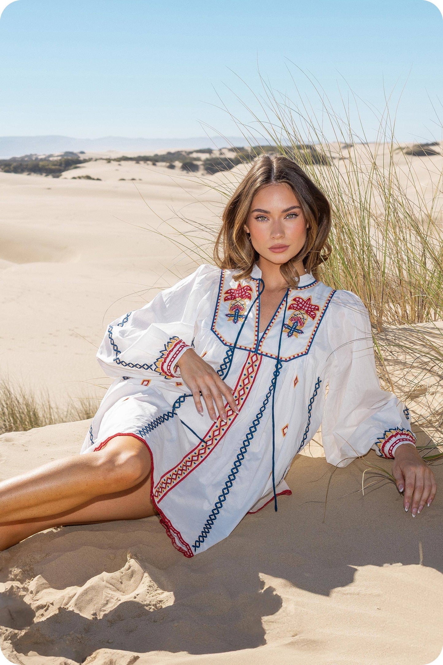 Embroidered Long Sleeve Mini Dress