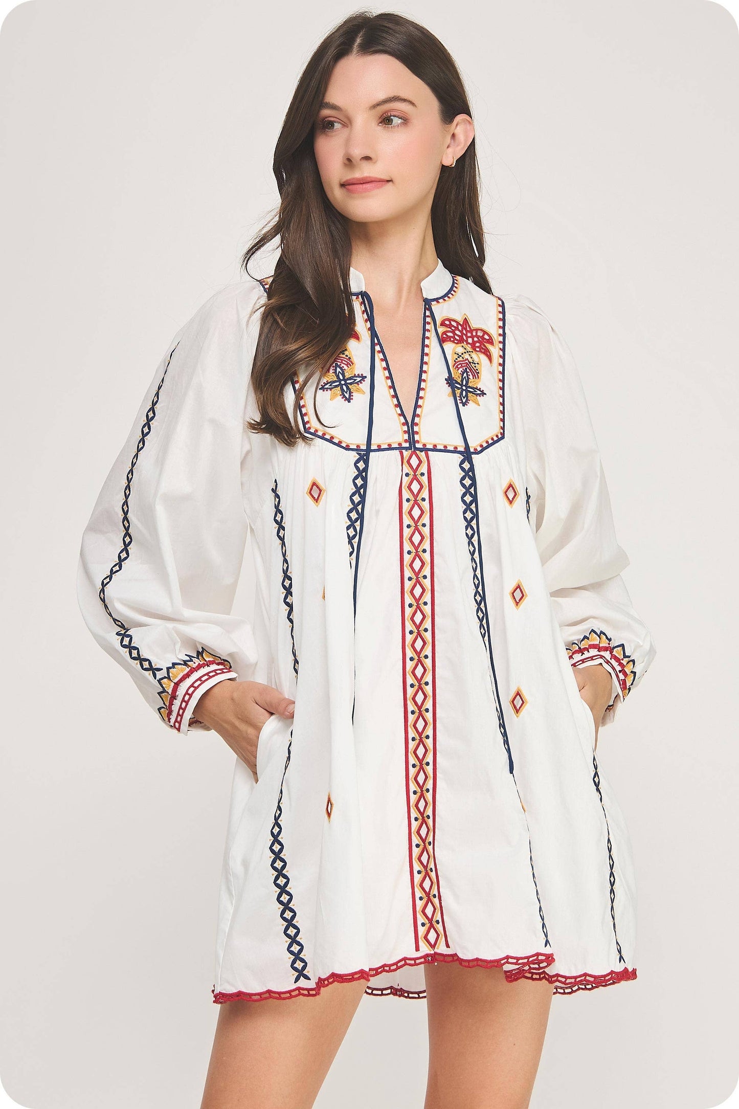Embroidered Long Sleeve Mini Dress