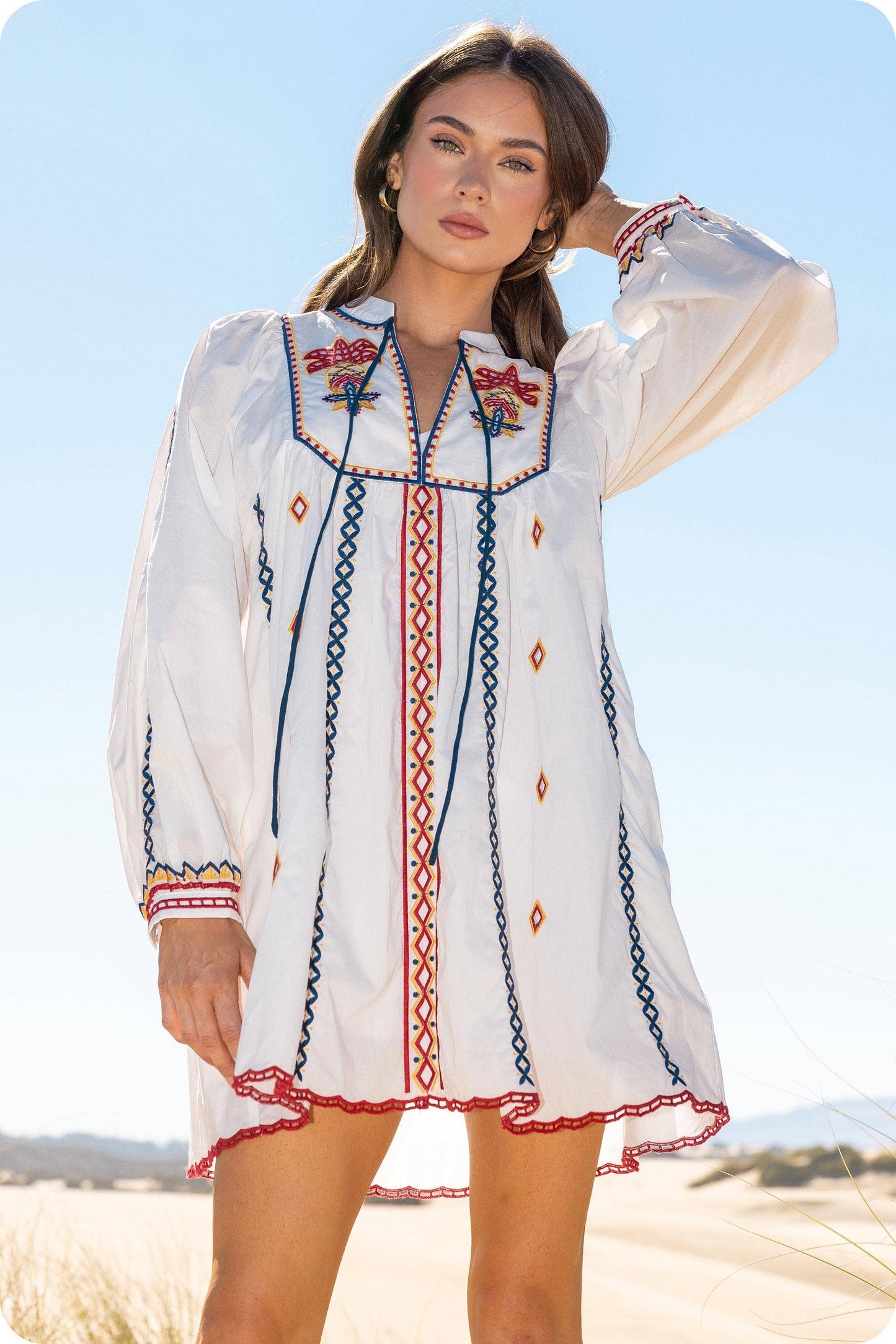 Embroidered Long Sleeve Mini Dress