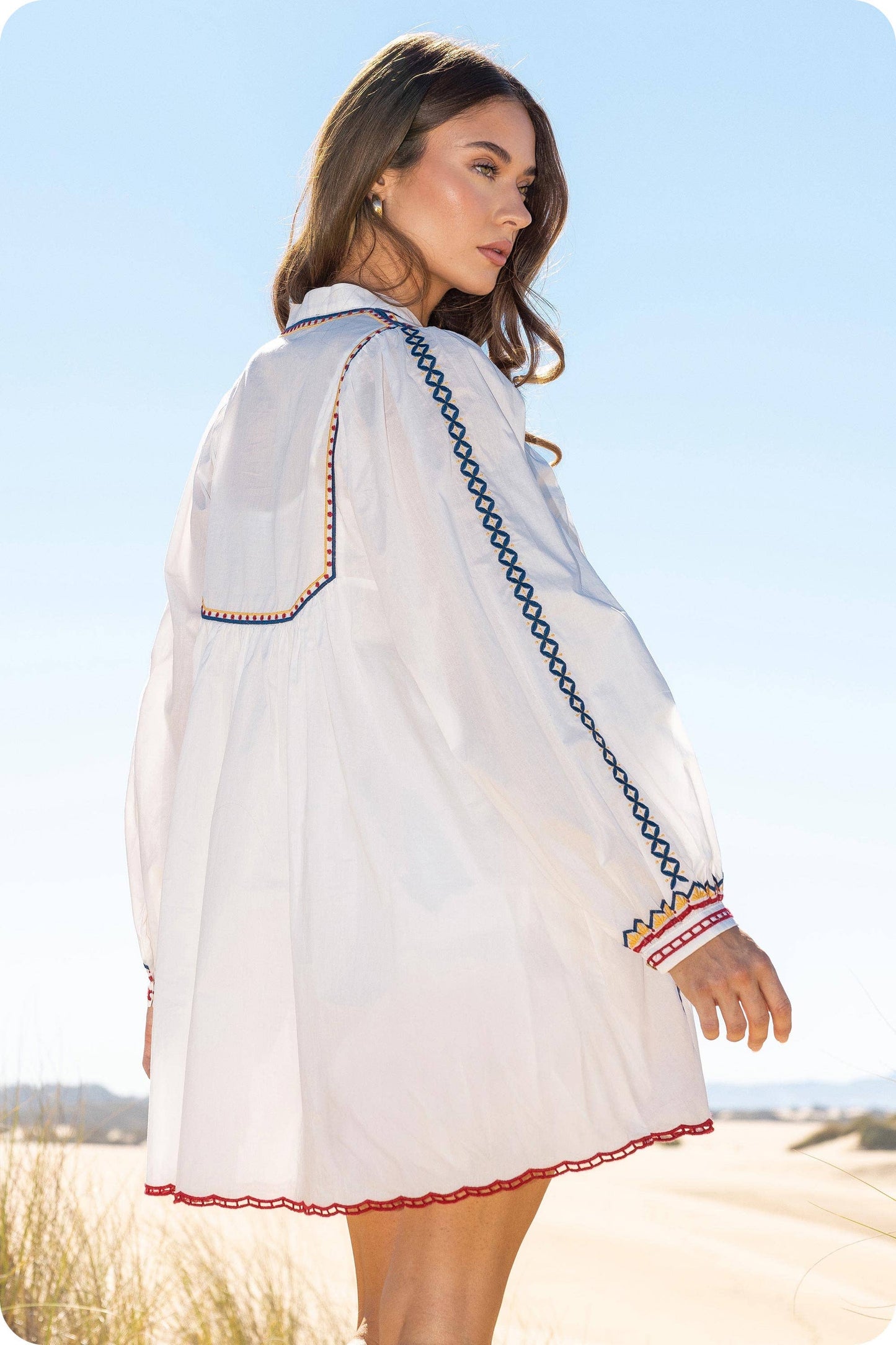 Embroidered Long Sleeve Mini Dress